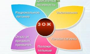 ЗОЖ – это комплекс полезных привычек, только положительно влияющих на жизнедеятельность человека. С его помощью можно укрепить здоровье, увеличить длительность жизни и быть счастливым.