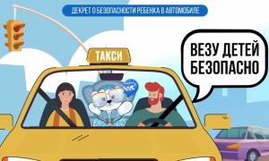 Дети и родители группы «Гномики» приняли участие во Всероссийской акции «Везу детей безопасно».